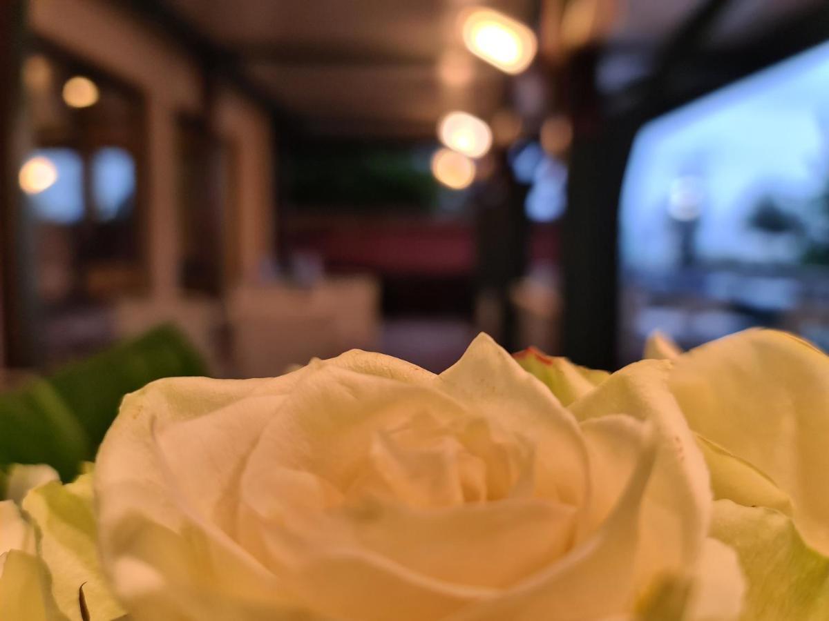 Hotel Sabra Senigallia Zewnętrze zdjęcie